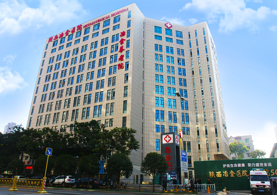 陕西冶金养老院